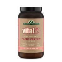 Vital Protein Powder Strawberry 500g
