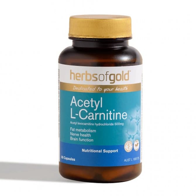 l carnitine 3000 vitamin shoppe Creatine & Acetyl-L-Carnitine Energy Plus, 0.51 lb main image 0