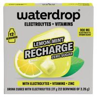Waterdrop Electrolyte Drink Cubes Lemon Mint